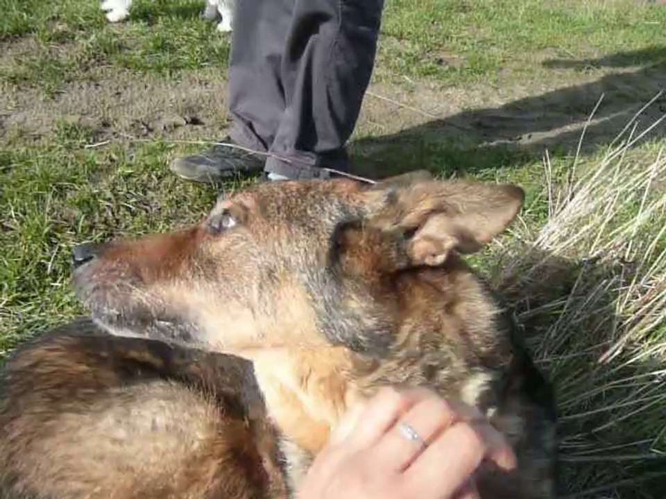 Première visite à Willow dans les champs pour April, 23 février 2014