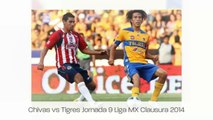 Ver Chivas vs Tigres En Vivo 2 de Marzo Liga MX Clausura 2014