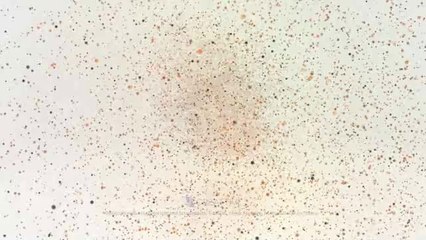 Floating Particles - After Effects Template