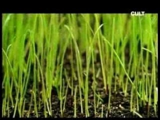 Bach - Yo-Yo Ma - BWV 1007 - Sarabande