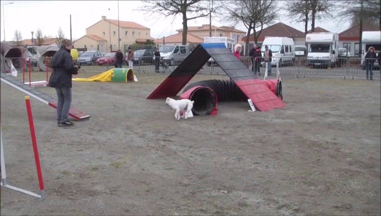 Eclipse Running DW Concours des Sorinières 2014-03-02