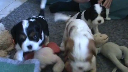 bb 1 mois avec Laurianne