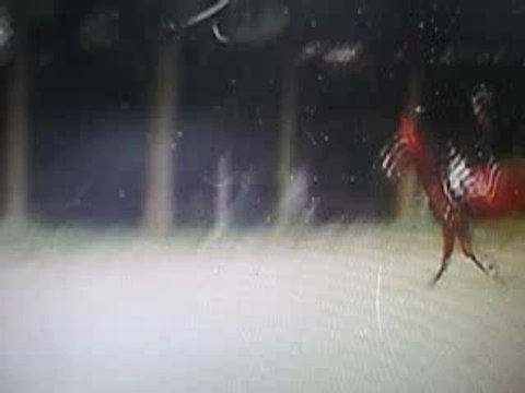 Moi et Mister notre premier concours