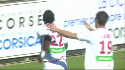 Ligue 1 - Tous les buts de la 27ème journée - 2013/2014