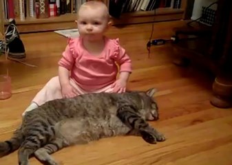 Kedi Dostumuzun Sabrı Tüm İnsanlığa Örnek Olmalı