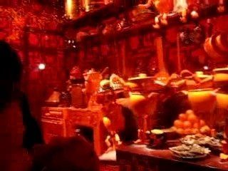 Vitrine Galeries Lafayette 3