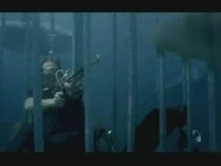 plongeur-requins