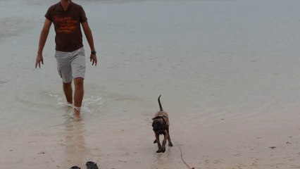 Premier vrai bain d'Ipnos