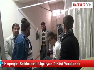 Köpeğin Saldırısına Uğrayan 2 Kişi Yaralandı