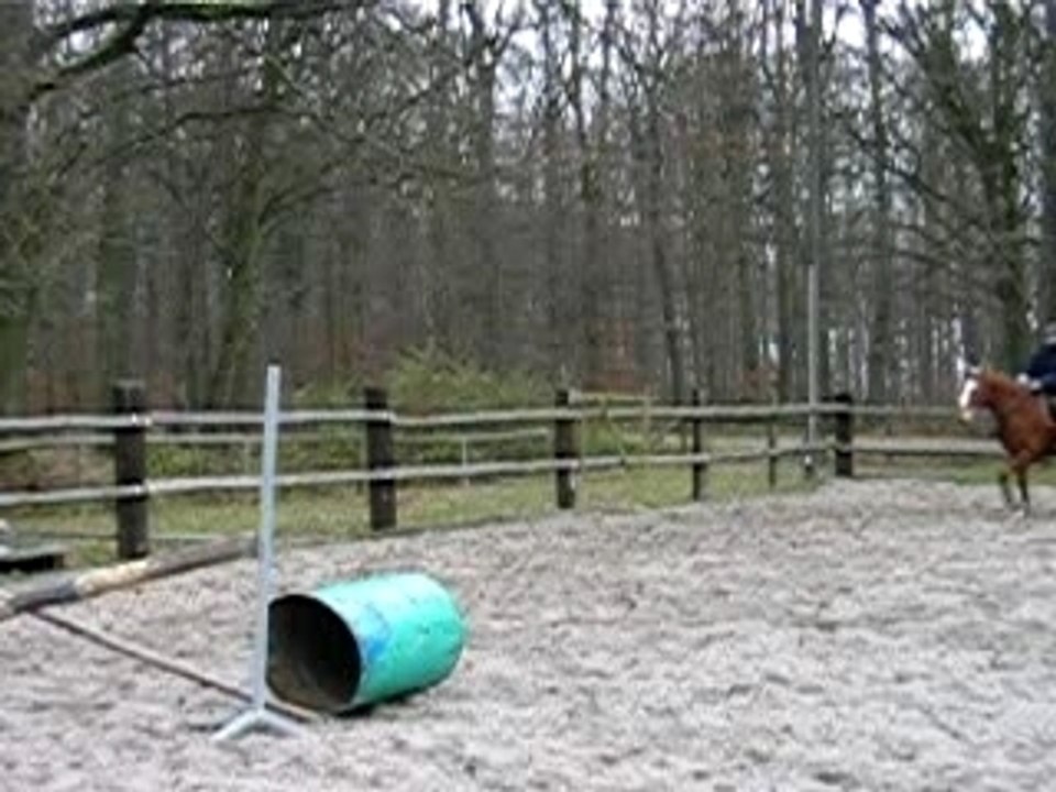 Saut 1 Kass