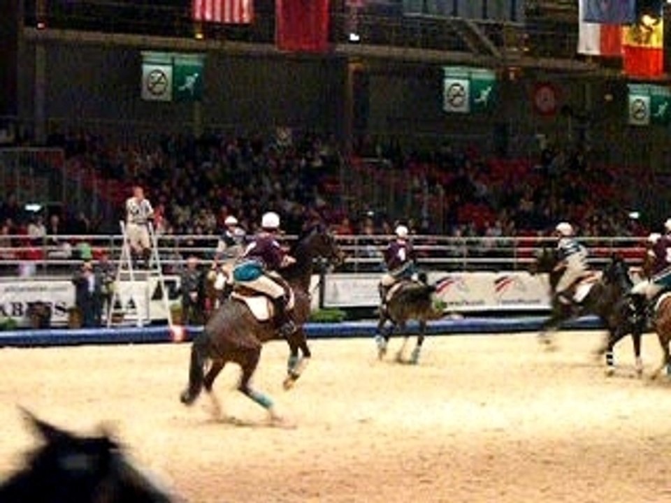 cabrer horse ball