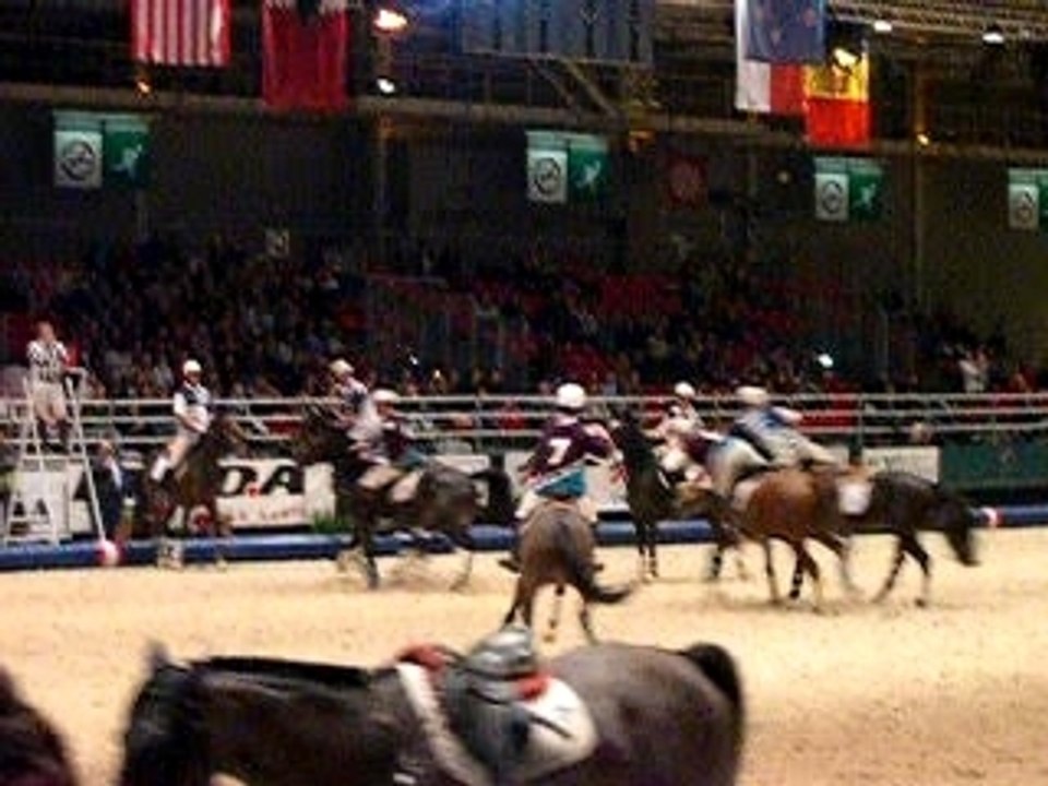 Horse ball but