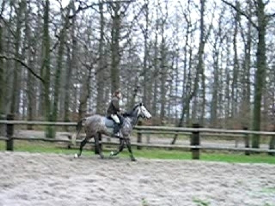 Entrainement CSO Mantarez