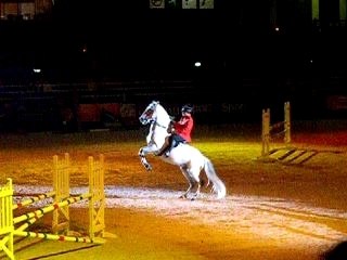 Etalon Barbe cabrer HN