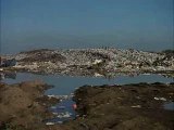 L'ile aux fleurs (Ilha das flores)