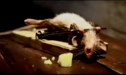 Seni Öldürmeyen Şey Güçlendirir!