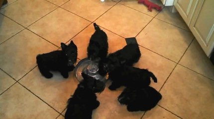 Yok böyle bir süt içme şekli.. :))