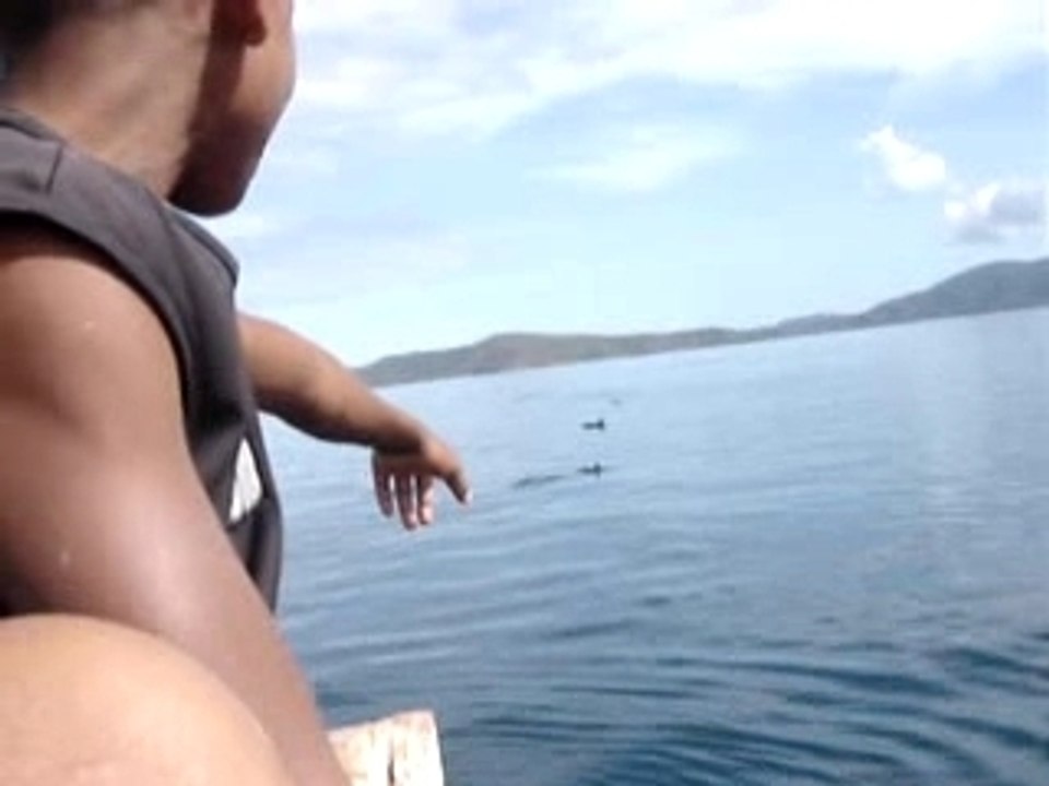 26- Yohan et les dauphins