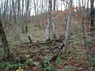 telethon sourcieux les mines