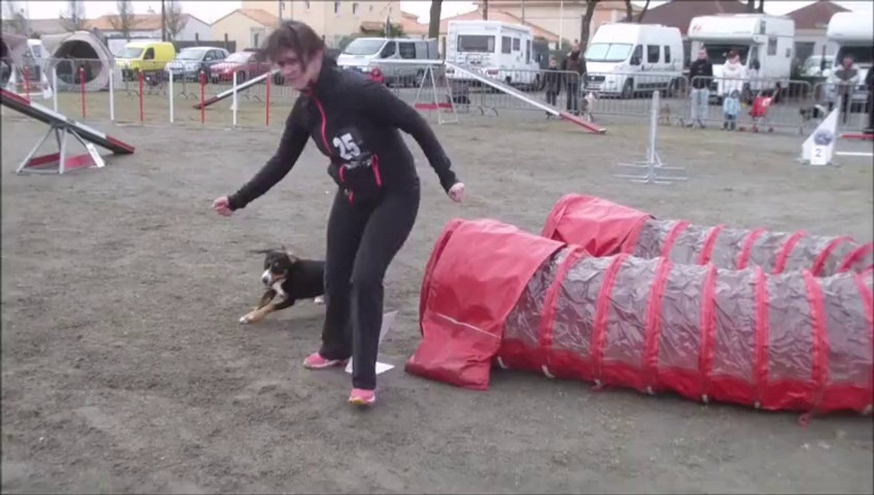 Eidi Concours des Sorinières 2014-03-02