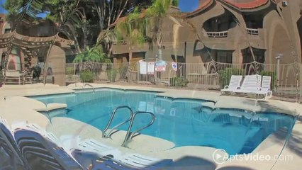 Brookfield Apartments in Phoenix, AZ - ForRent.com