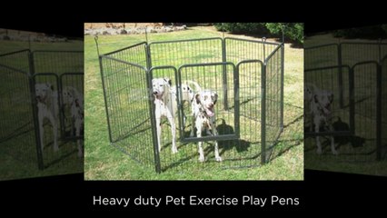 Dog Show Equipment Offered by Vebo Pet Supplies