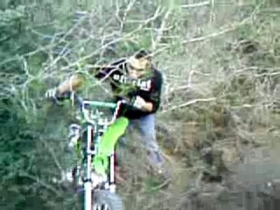 résulta de la gamel en dirt lol