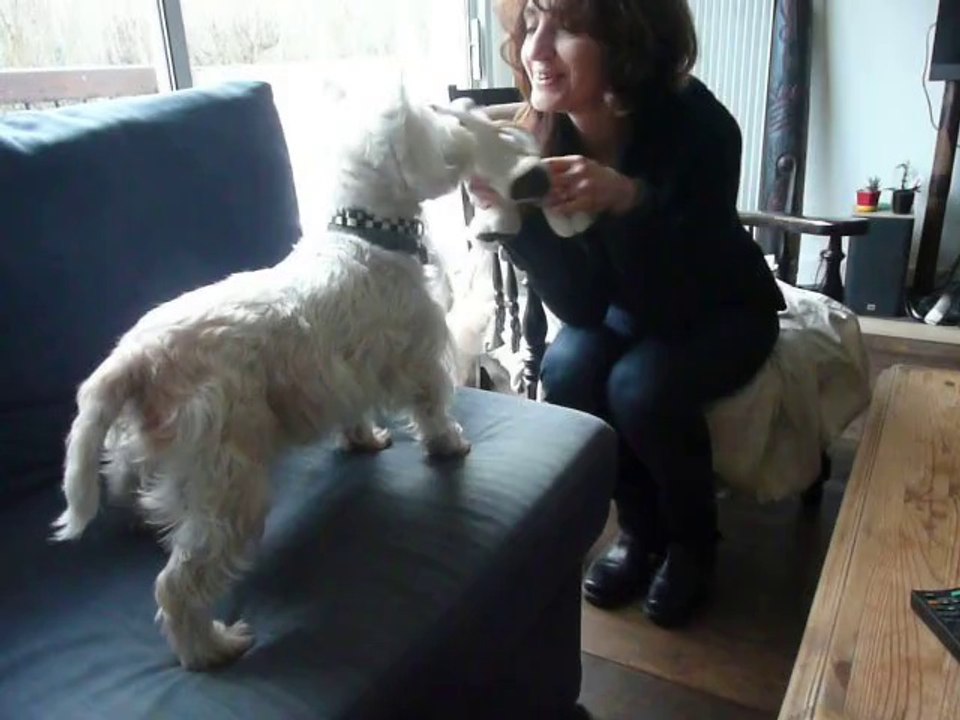 Lancer de doudou, tatie gaga et Pistou!