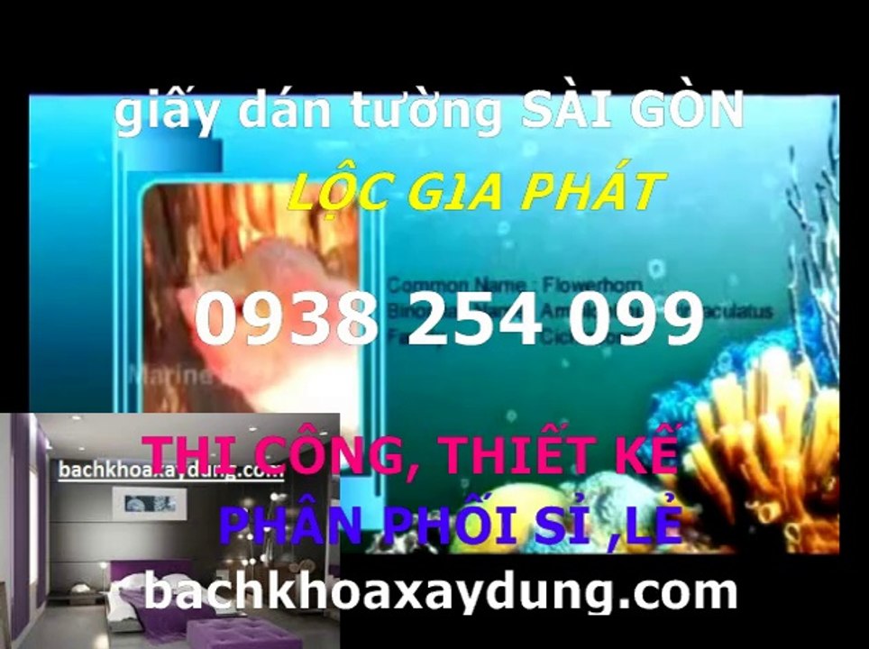 chuyen tu van giay dan tuong quan 6** 0938254099