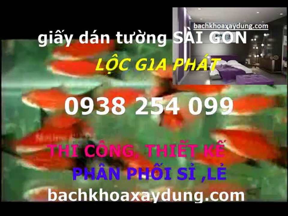 chuyen tu van giay dan tuong quan 7** 0938254099