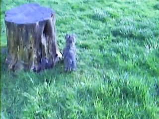 Chanel et Jaudy dehors