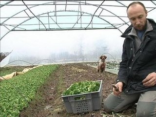 "Couveuse" pour jeunes agriculteurs - 01/03