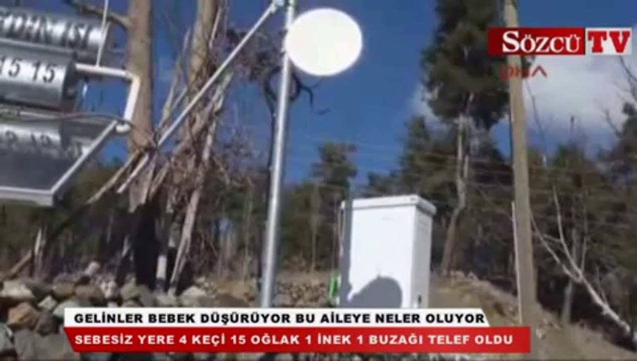 Bu aileye neler oluyor