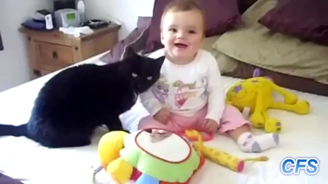 Katzen lieben Baby's