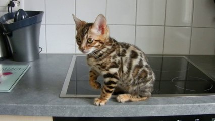 Zero (3 mois) premier jour à la maison