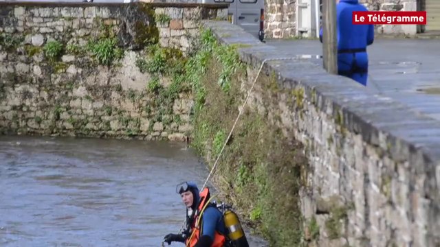Guingamp. Les recherches pour retrouver la jeune fille disparue ont repris
