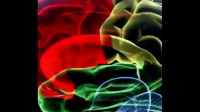 Scientific Explanation On Why Cannabis Hemp Oil And Specifically CBD Can Help Cure...