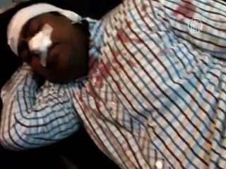 На индийской фабрике поймали леопарда