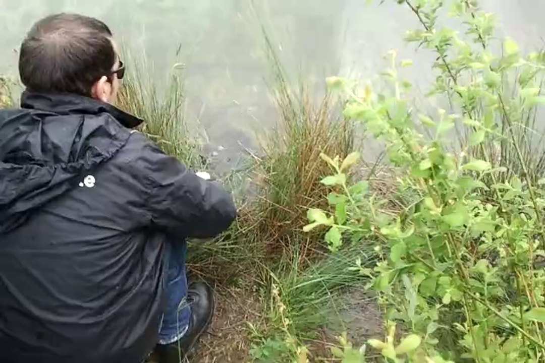 Remise à l'eau d'un brochet d' 1 mètre 03