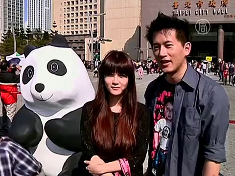 Тайбэй заполонили сотни бумажных панд