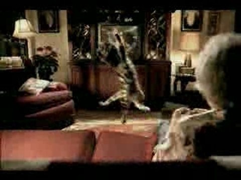 un chat fou fou fou fou fou fou en colis