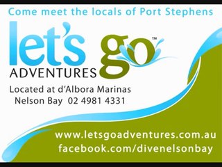 A surprise dive with seals at Cabbagetree Island :)