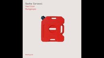 Sasha Carassi - Vection (Original Mix) [Bedrock Records]