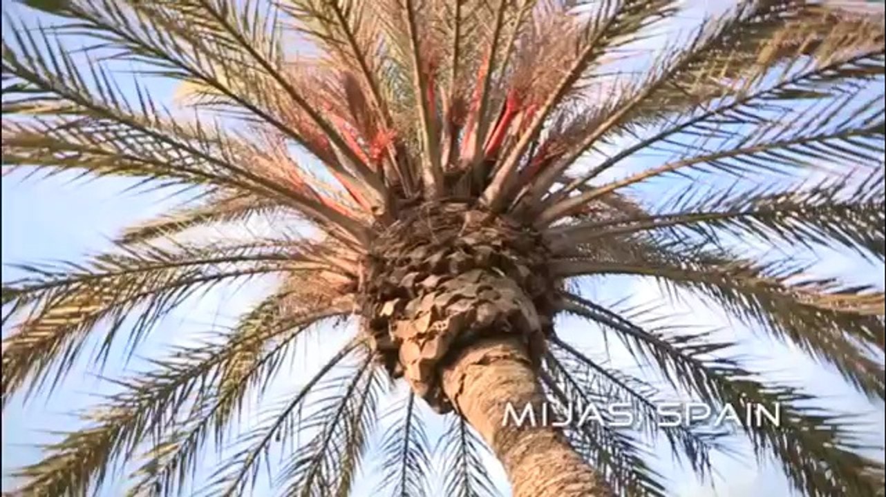 Two RC Helicopters Lift A Woman