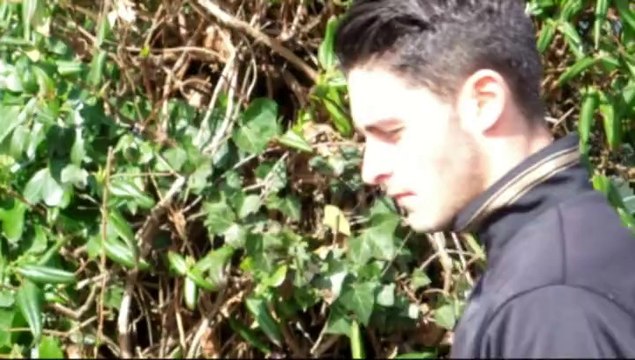 RC Lens - Tours FC, l'avant match