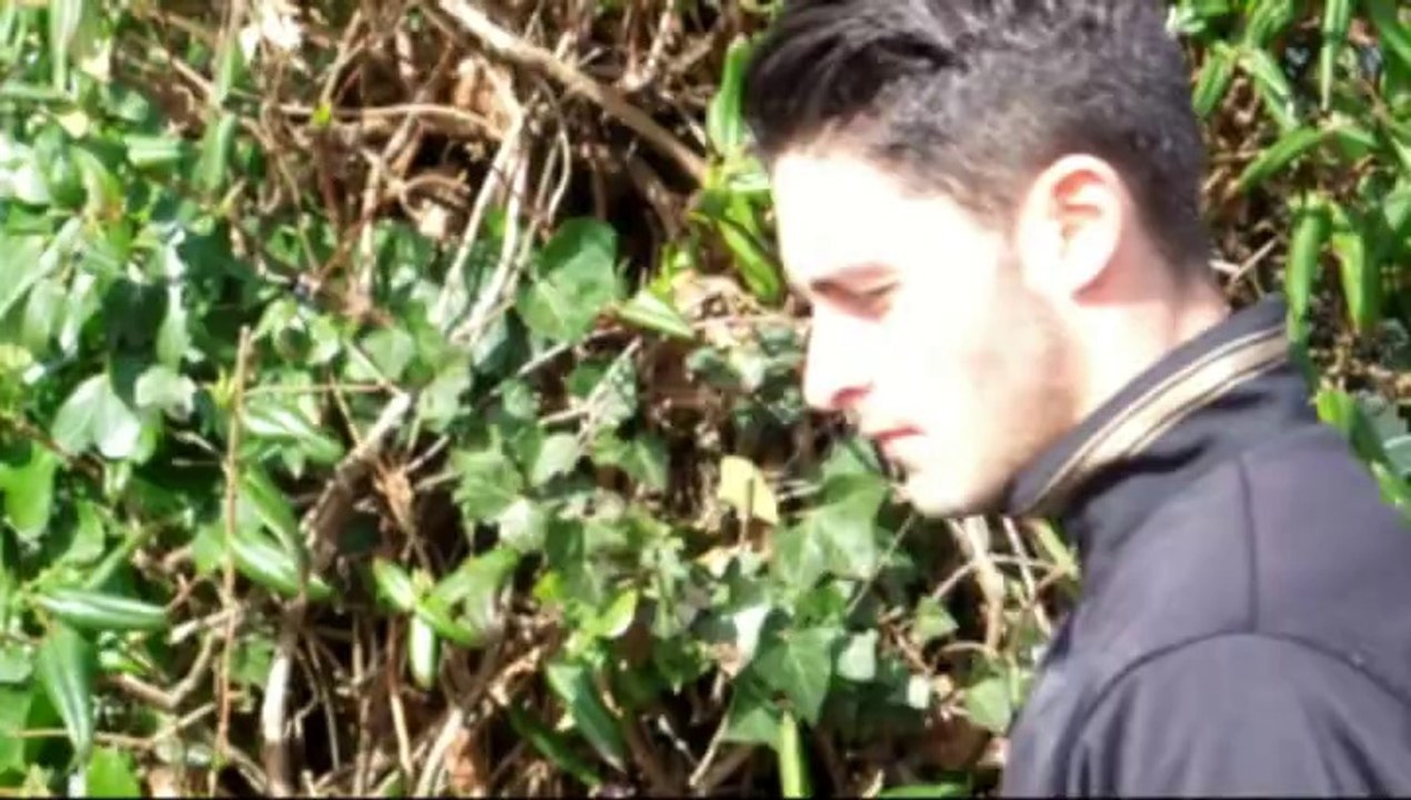 RC Lens - Tours FC, l'avant match