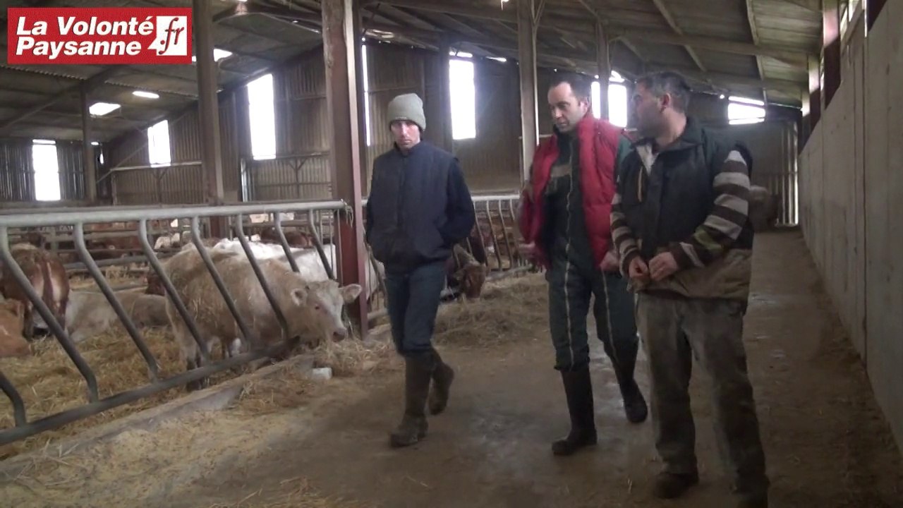 Bovins viande : du conseil en groupe Aveyron