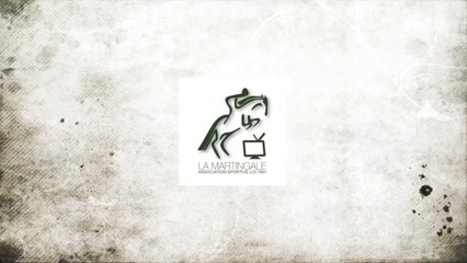 11ème JUMPING DE BAIE-MAHAULT