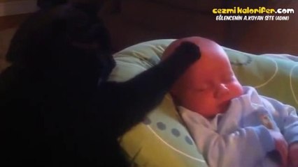 Hipnoz Gücüyle Bebek Uyutan Kedi