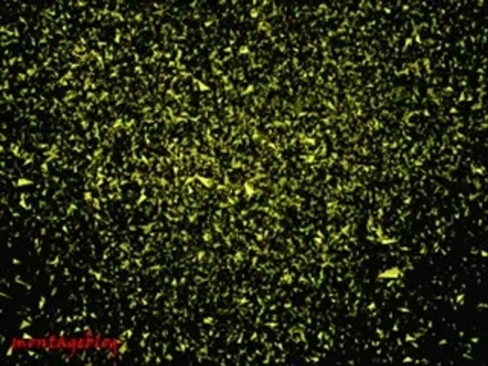 Zhina feat. L'Emeute parle moi de lui